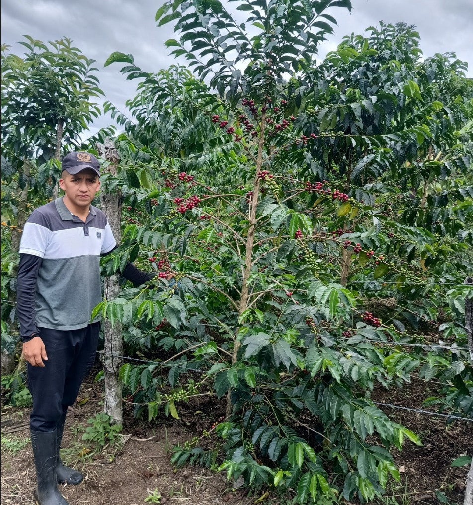 Bruce Colombia Bourbon Aruzi Filter Roast Coffee Beans