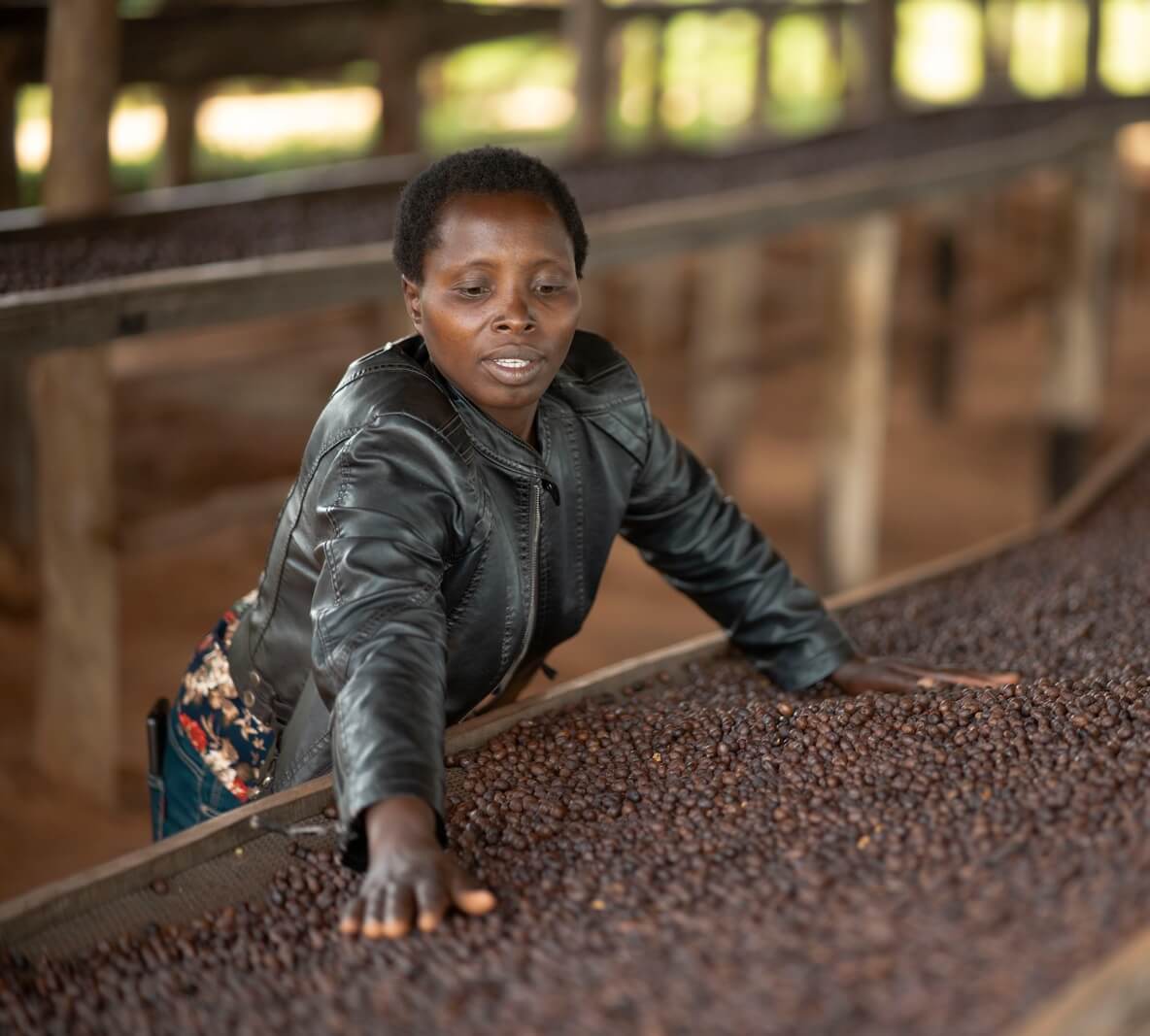 Woman at washing station with Dukunde red bourbon coffee beans