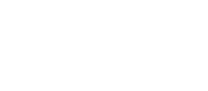 Global Icon in white