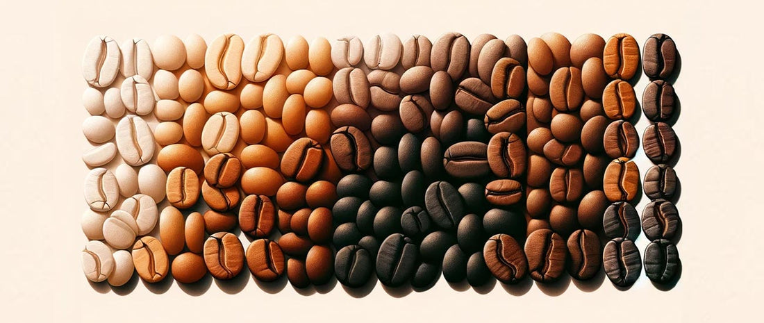 Coffee Beans from light to Dark roast color