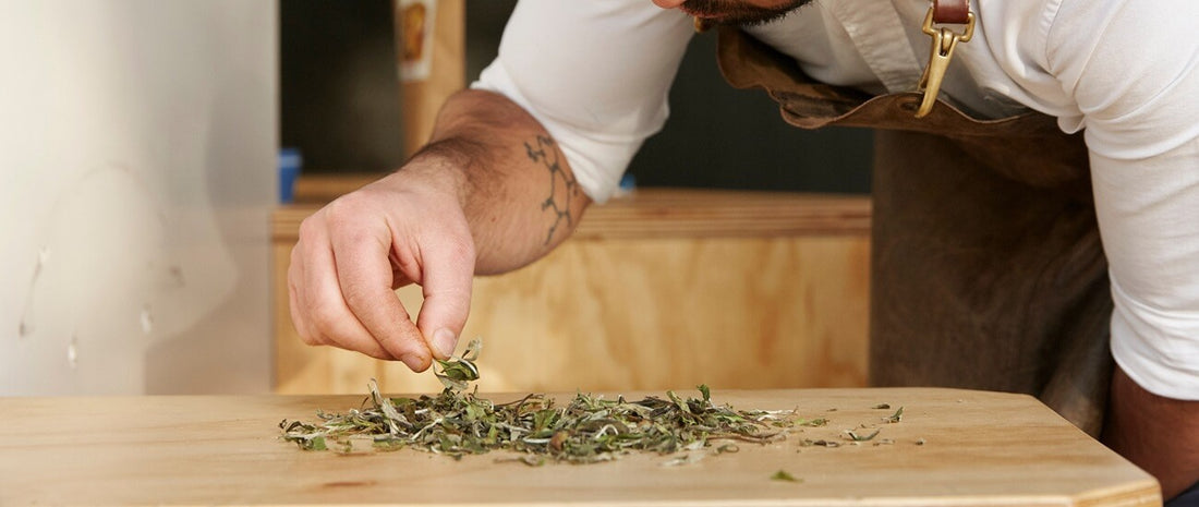 Loose leaf tea on a bench