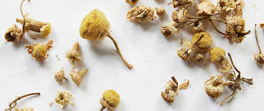 Close up of camomile loose leaf tea