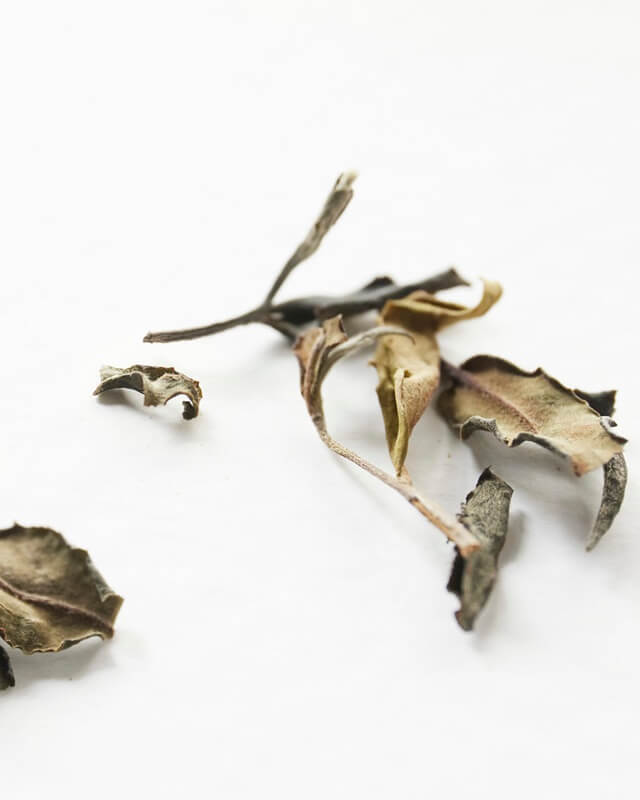 Buy Organic Loose Leaf White Tea Online | Bruce Tea