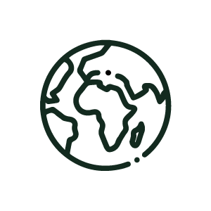 Bruce global icon
