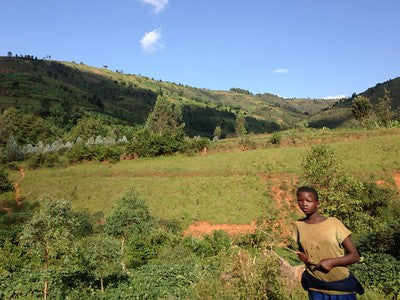 Bruce MWITO RWANDA Coffee Beans