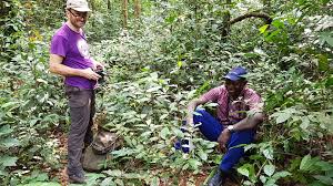 Bruce Sierra La De Union  Coffee Beans (LIMITED RELEASE)