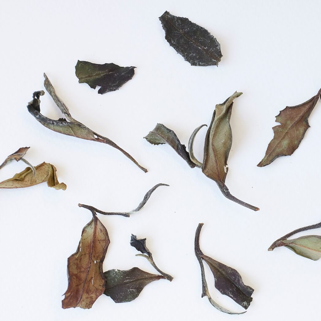 Golden Peony tea leaves