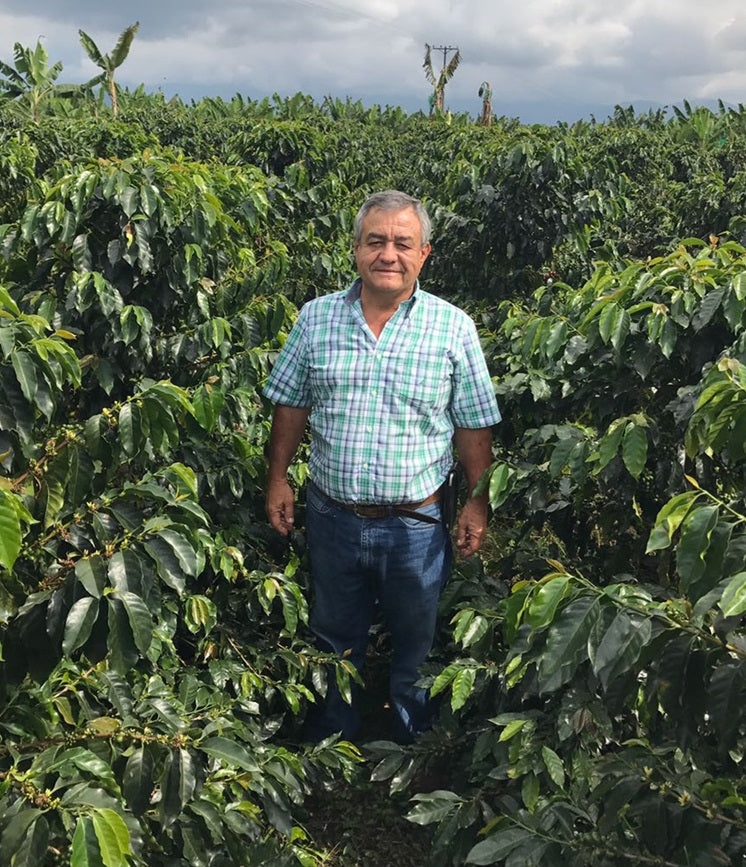 Jairo Arcila in his coffee farm